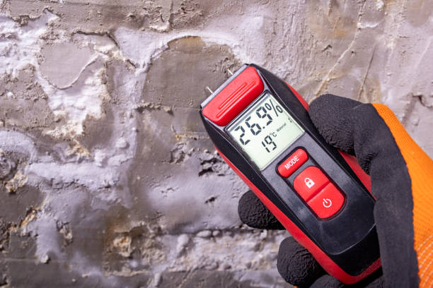 Best Mold Remediation Experts  in Saxon, SC