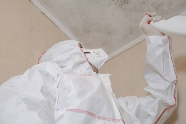 Best Professional Mold Removal  in Saxon, SC
