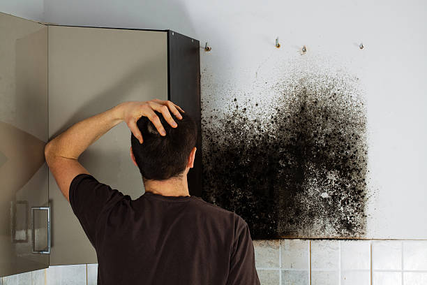Best Emergency Mold Removal  in Saxon, SC